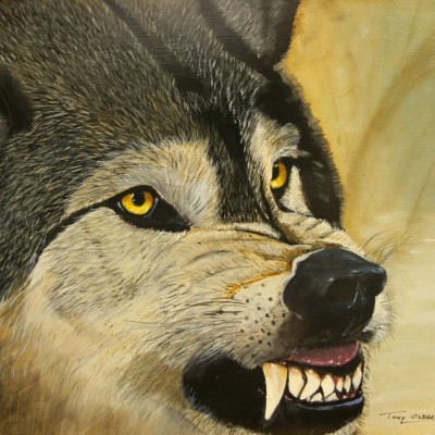 Wolf Snarl
